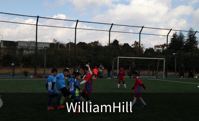 WilliamHill简介